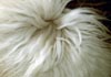 Catalina fiber-1