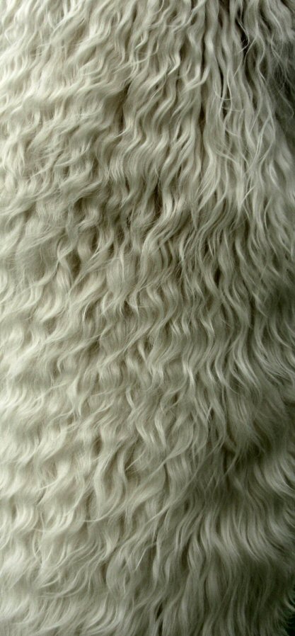 Ridge fiber 3-07