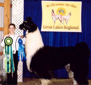 April @ Great Lakes Regionals 2002
